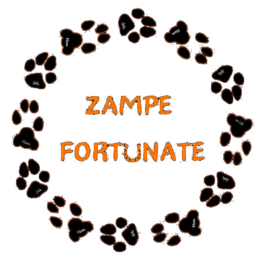 Zampe Fortunate